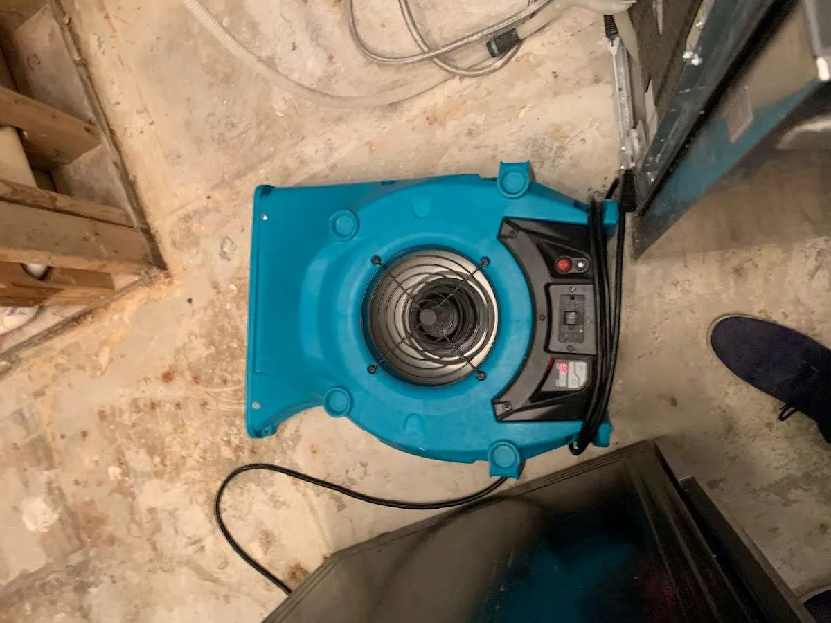 Air mover drying equipment for Mold Remediation & Removal in La Plata