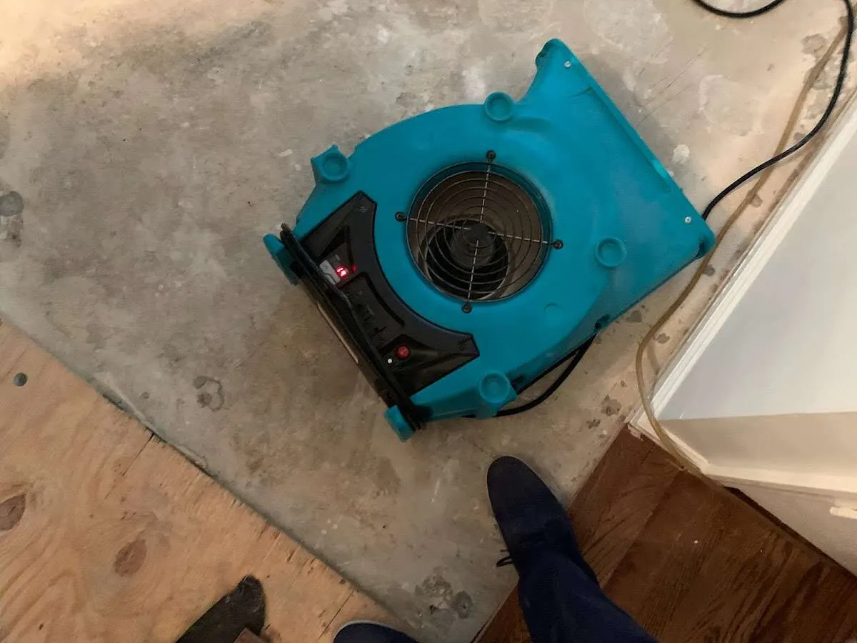 Air mover drying subfloor during Commercial Water Damage Restoration in La Plata